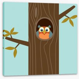 Owls Stretched Canvas 16166270
