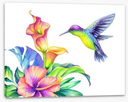 Birds Stretched Canvas 161796777