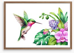 Pink orchid hummingbird Framed Art Print 161796781