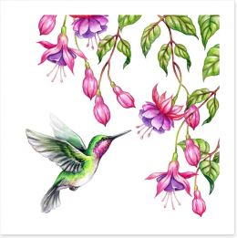 Birds Art Print 161796784
