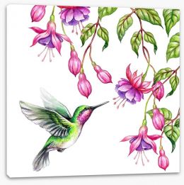Birds Stretched Canvas 161796784
