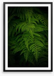Ferns by night Framed Art Print 162432254