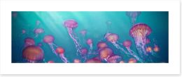 Jellyfish joy panorama Art Print 162760411