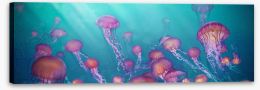 Jellyfish joy panorama Stretched Canvas 162760411