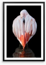 Chilean flamingo Framed Art Print 163503748
