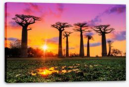 Africa Stretched Canvas 163621386