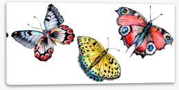 Butterflies Stretched Canvas 164500281