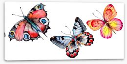 Butterflies Stretched Canvas 164500312