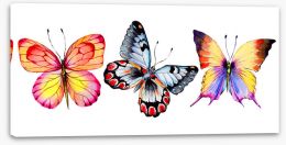 Butterflies Stretched Canvas 164500326
