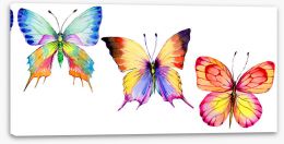 Butterflies Stretched Canvas 164500351