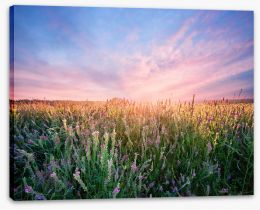 Meadows Stretched Canvas 164574881