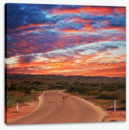 Outback Stretched Canvas 164725505