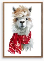 Chilly alpaca Framed Art Print 165059707