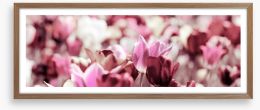 Rose tinted tulips Framed Art Print 165597890