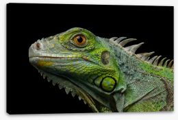 Reptiles Stretched Canvas 166096229