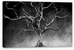 Trees Stretched Canvas 166409375