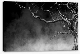 Trees Stretched Canvas 166409706