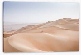 Desert Stretched Canvas 166706768