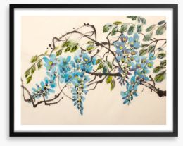 Blue wisteria Framed Art Print 166829294