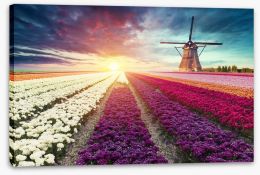 Meadows Stretched Canvas 166984700