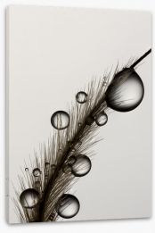 Black and White Stretched Canvas 167566029