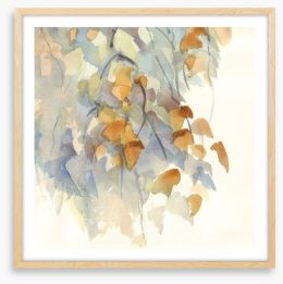 Shadows in the birch Framed Art Print 167654116