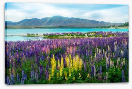 New Zealand Stretched Canvas 167730552