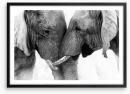 Elephants entwine Framed Art Print 168185023