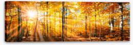 Autumn Stretched Canvas 168212681