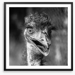 Happy emu Framed Art Print 168258357