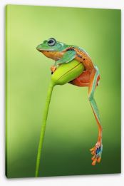 Reptiles / Amphibian Stretched Canvas 168534844
