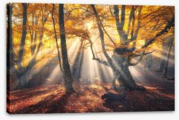Autumn Stretched Canvas 168804375