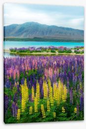 New Zealand Stretched Canvas 169066929