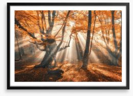Aethereal autumn forest Framed Art Print 169347821
