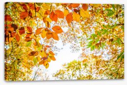 Leaves Stretched Canvas 169391844