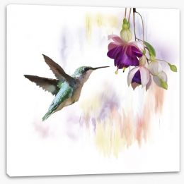 Birds Stretched Canvas 169725064