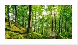 Forests Art Print 169871076