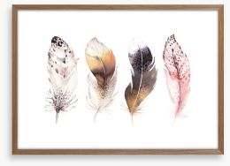 Feather me softly Framed Art Print 170243437