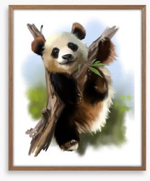 Little giant panda Framed Art Print 170856986