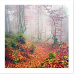 Forests Art Print 171084384