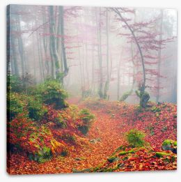 Forests Stretched Canvas 171084384