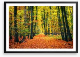 Path through autumn Framed Art Print 172291969