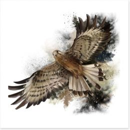 Birds Art Print 172726730