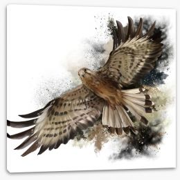 Birds Stretched Canvas 172726730