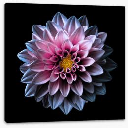 Flowers Stretched Canvas 173247920