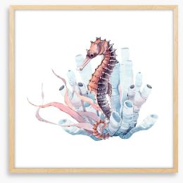 Seahorse in the kelp Framed Art Print 175826045