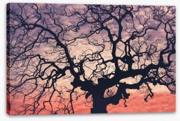 Trees Stretched Canvas 177204785