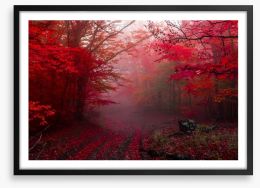 Red forest mist Framed Art Print 178499149