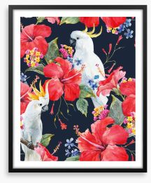 Hibiscus cockatoo Framed Art Print 178651959