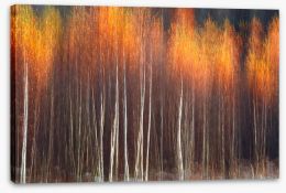 Autumn Stretched Canvas 179241902